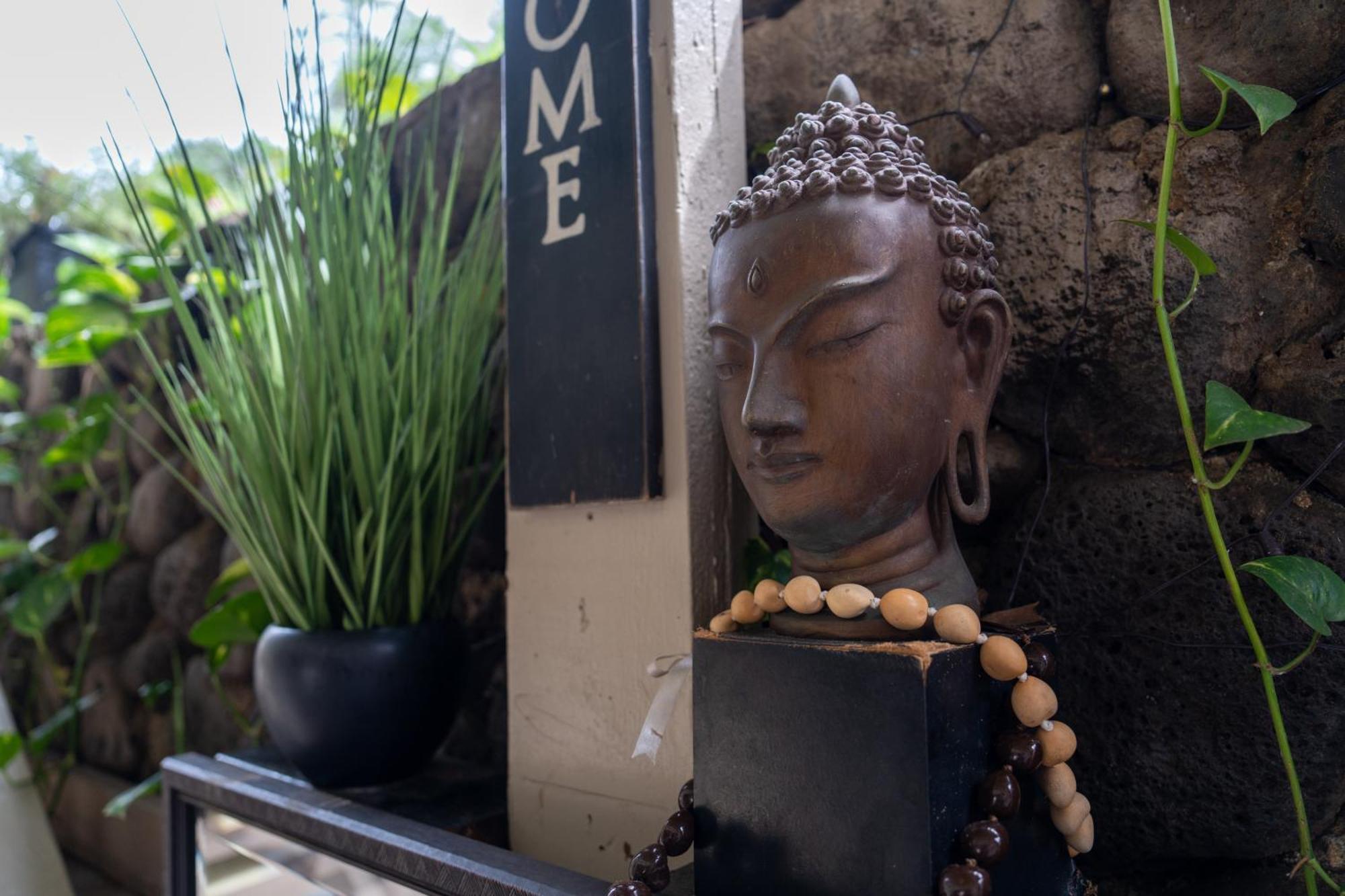 Unit 18 Maui Ohana Modern Studio Wailuku Ngoại thất bức ảnh